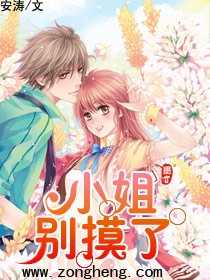 《都市进行曲(又名:小姐,别摸了)》