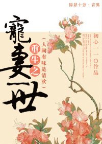 《重生之宠妻一世/人间有味是清欢》