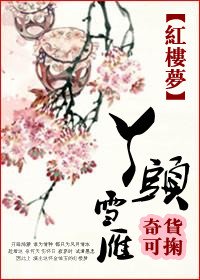 （红楼同人/BG）红楼之丫头雪雁