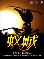 《蚁贼》