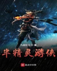 《半精灵游侠》