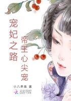 《宠妃之路:帝王心尖宠》