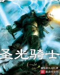 《圣光骑士》