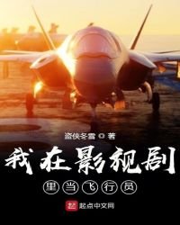 《我在影视剧里当飞行员》