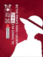 《某科学的海贼》