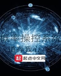 《概率操控系统》