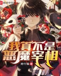 《我真不是恶魔宰相》