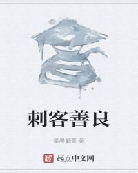 刺客善良