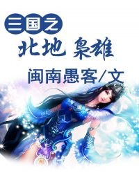 《三国之北地枭雄》