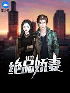 我的绝品娇妻（妻江牧阳安澜）