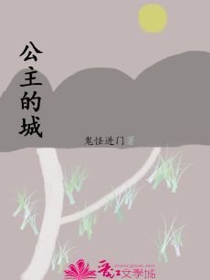 公主的城