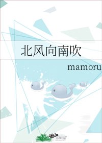 北风向南吹
