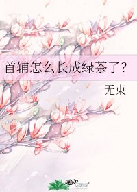 《首辅怎么倡成律茶了?》