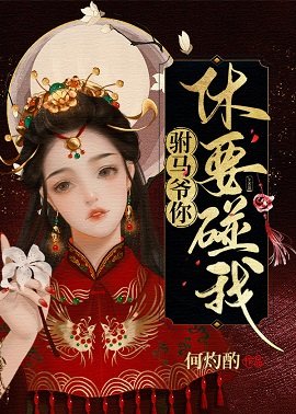 《驸马爷你休要碰我/试婚格格上位记》