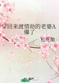 《穿回来渡情劫的老婆A爆了》