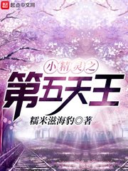 《(宝可梦同人)小精灵之第五天王》