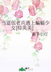 （综英美同人）当退伍老兵遇上蝙蝠少女[综英美]