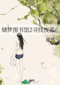 储梦图书馆2寻找夜蓝