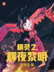 （宠物小精灵）精灵之辉夜黎明