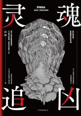 灵魂追凶（出书版）