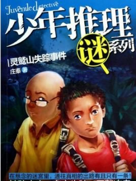 灵鹫山失踪事件（出书版）