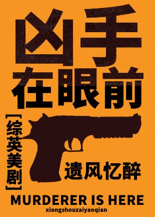 《(综英美剧同人)凶手在眼前》