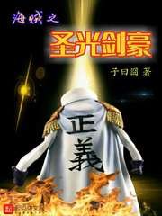 （海贼王同人）海贼之圣光剑豪
