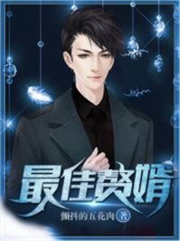 《最佳赘婿/大丈夫的咸鱼生活》