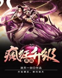 《疯狂升级系统》