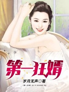 《第一狂婿》