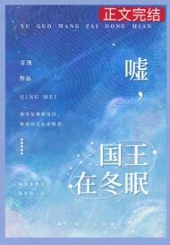 《嘘,国王在冬眠》
