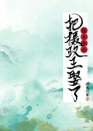 《朕不小心把摄政王娶了》