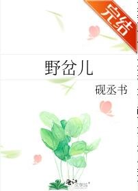 《野岔儿》