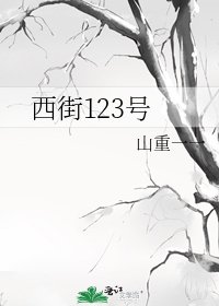 《西街123号》
