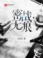 《密战无痕》