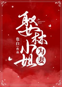 《娶林小姐为妻》