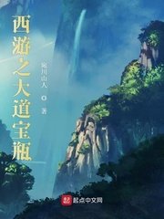 《西游之大道宝瓶》