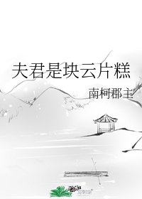 夫君是块云片糕