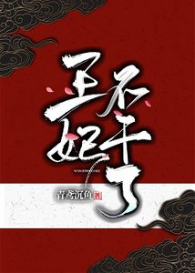 《王妃不干了》