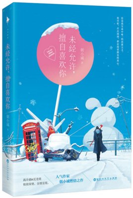 未经允许，擅自喜欢你