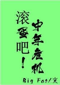当大叔撞上大叔/滚蛋吧！中年危机