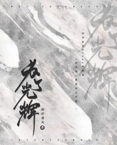 《为了光辉abo》
