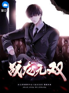 《战龙无双》