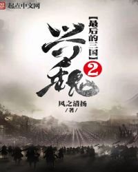 《最后的三国2:兴魏》