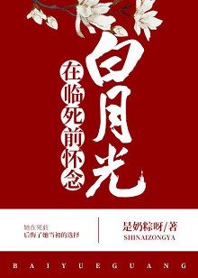 海上无花也怜侬