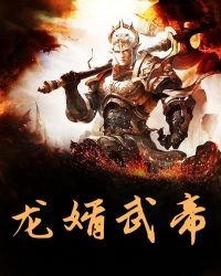 《龙婿武帝》