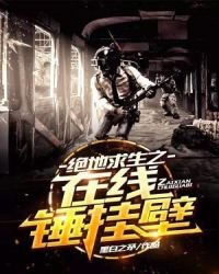 《绝地求生之在线锤挂壁》