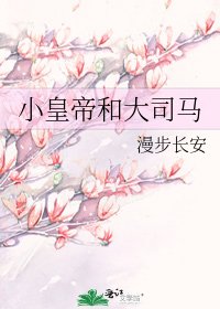 《小皇帝和大司马》