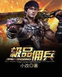 《极品佣兵》