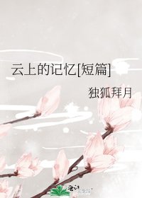 云上的记忆[短篇]